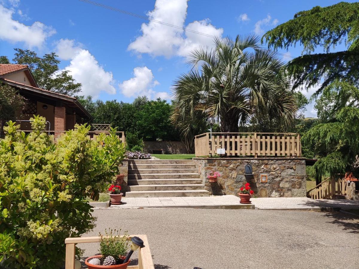 Agriturismo Pian Dell'Osa Montiano  Exterior photo